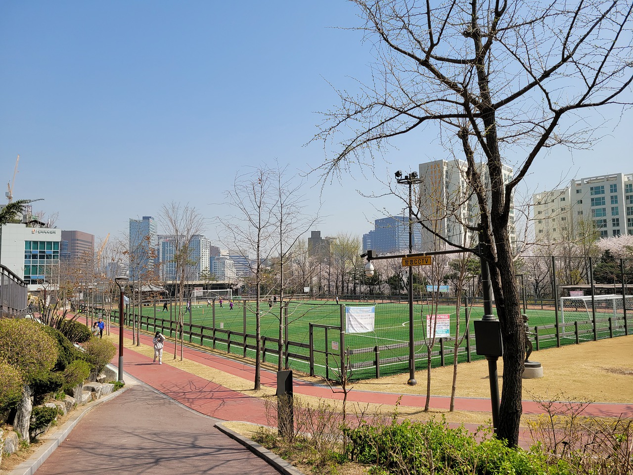 球队的战术 球队的战术