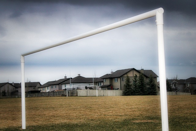 使他的进球 使他的进球