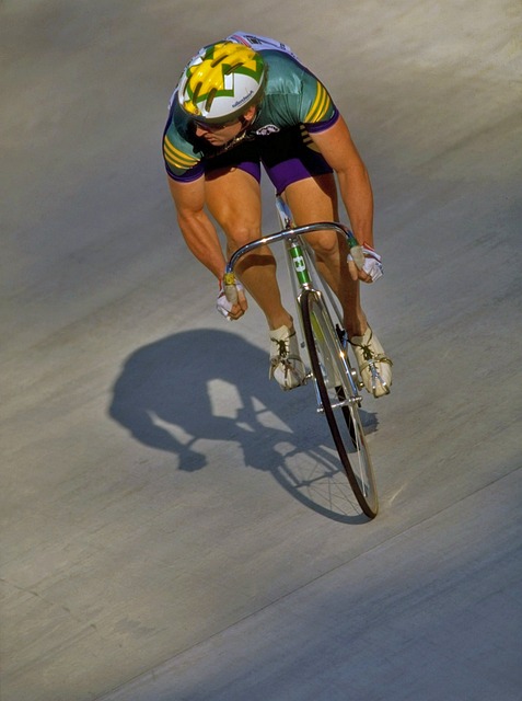 的职业生涯 的职业生涯