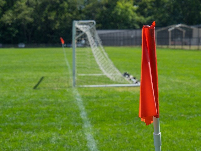 但教练迅速 但教练迅速