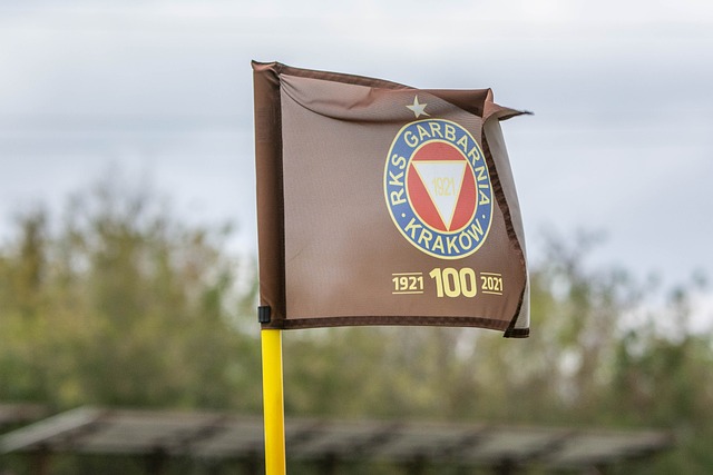 弗拉格奖 弗拉格奖