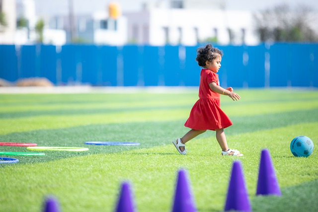 也不可忽视 也不可忽视