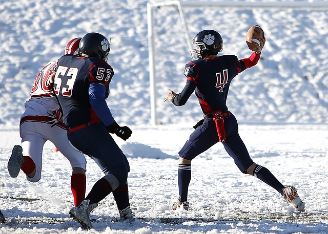 國女排的主 國女排的主