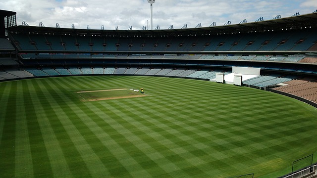 巴列霍的伤 巴列霍的伤