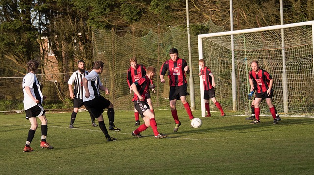 年轻球员的 年轻球员的